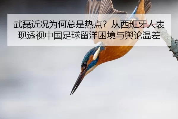 武磊近况为何总是热点？从西班牙人表现透视中国足球留洋困境与舆论温差