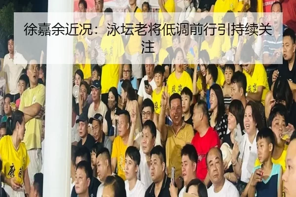 徐嘉余近况：泳坛老将低调前行引持续关注（fbzone）